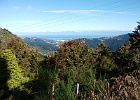 DSCF0622