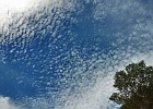 DSCF0631