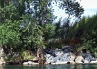 DSCF0638