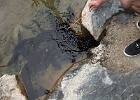 DSCF0718