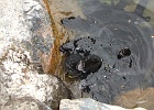 DSCF0719