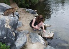 DSCF0721