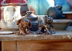 DSCF0655