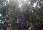 IMG 20180401 090718