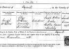 Mary Ellen birth