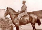 TLW Horse 1 e-4